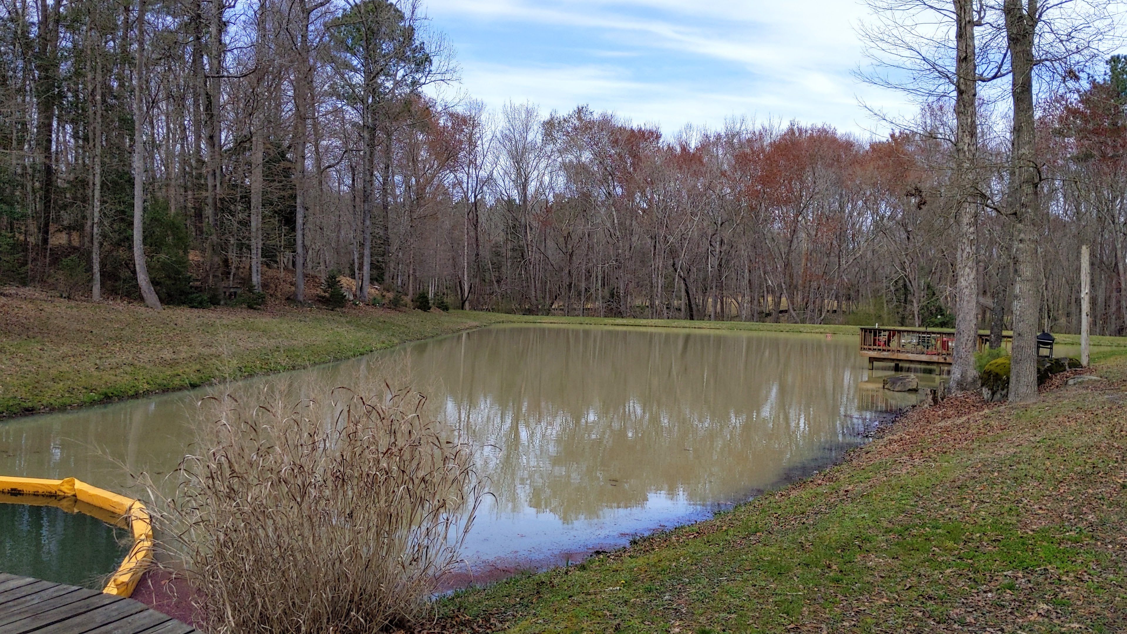 Pond with grass borders, trees in the background and a wooden dock on the side.