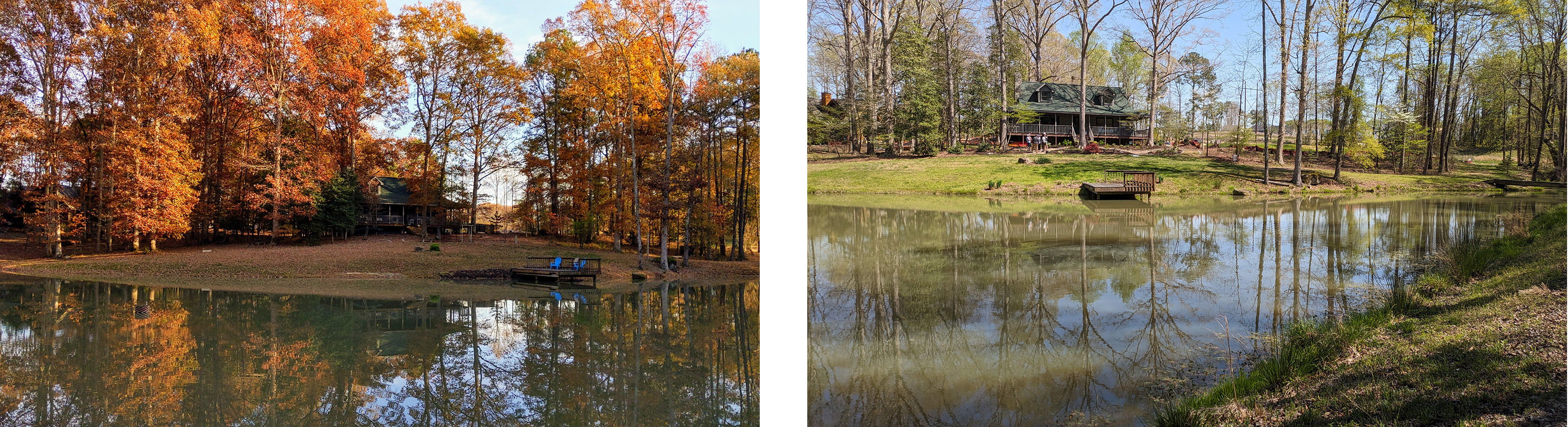 two images of the same pond with a house in the background. The first with vivid fall colors and the second in spring with vibrant new green growth on the trees. 